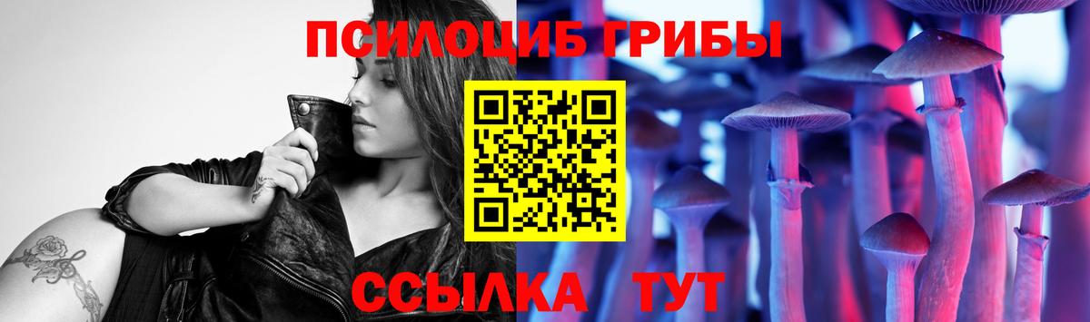 Бузулук  Псилоцибиновые грибы Cubensis  Вход с VPN 